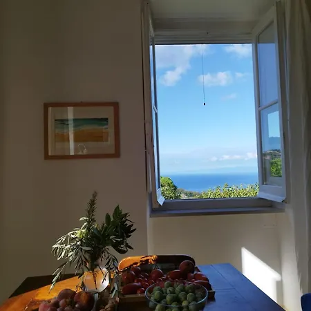 I Fiori Di