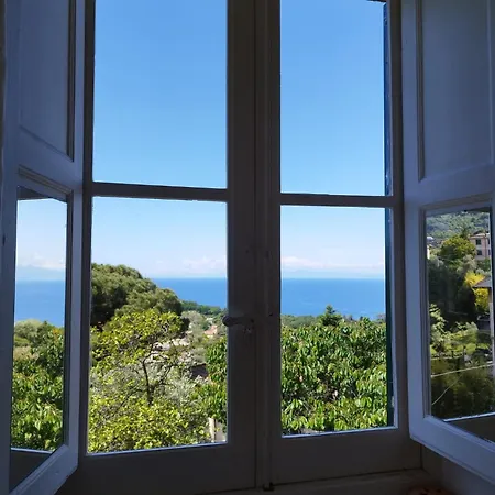 I Fiori Di Camogli
