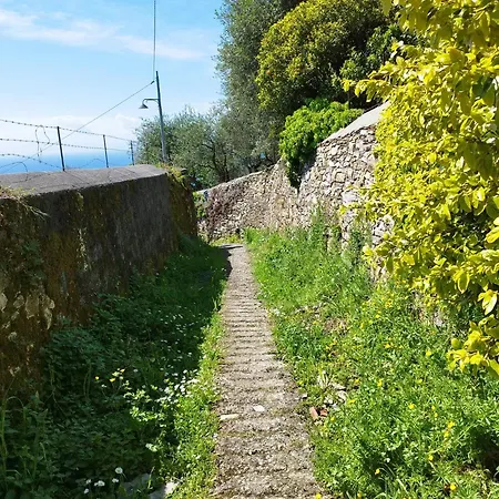 I Fiori Di Apartment Camogli