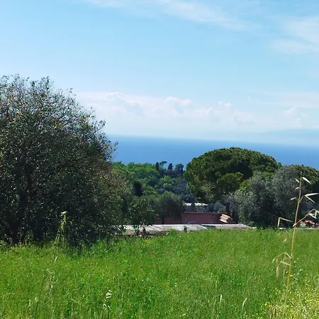 I Fiori Di