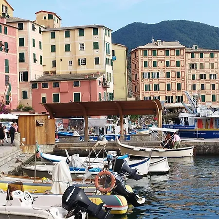 I Fiori Di Apartman